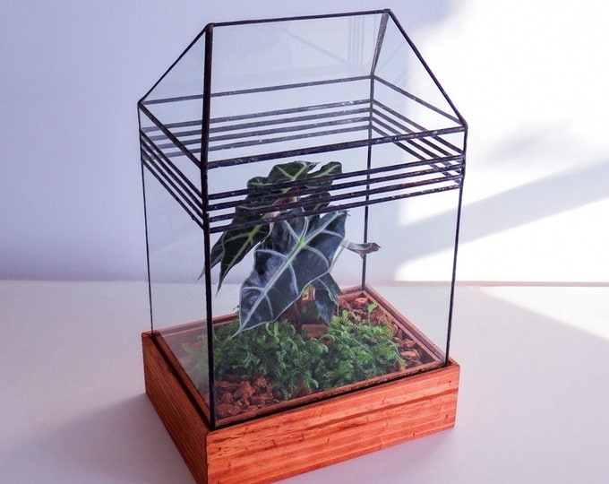 Baret House Terrarium