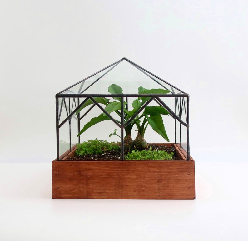 Glass Terrarium Cottage Etsy