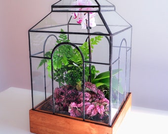 Humboldt Terrarium