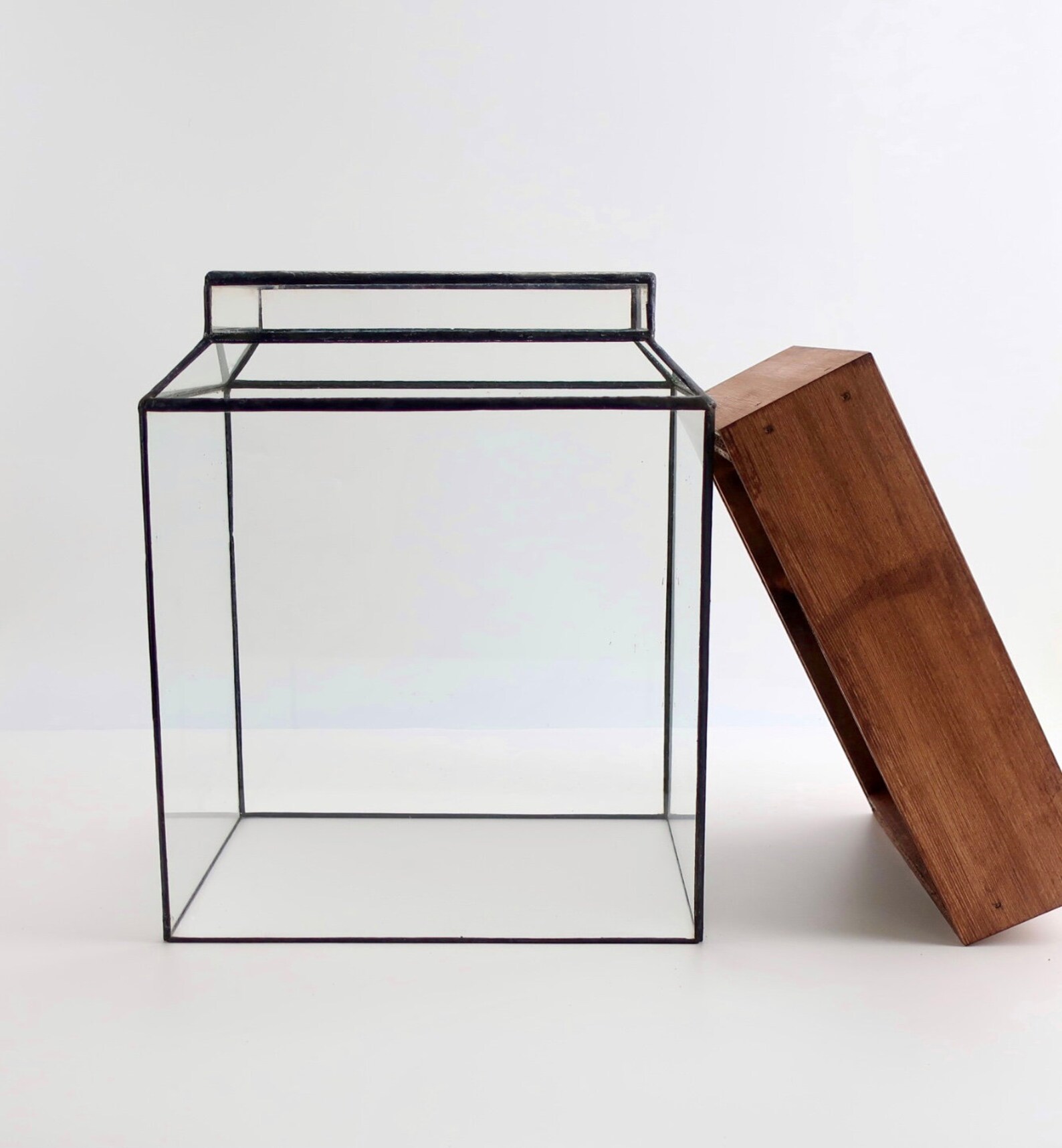 Leadhead Glass Terrarium the Ward - Etsy