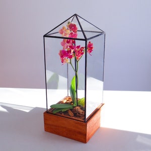 Tower Terrarium
