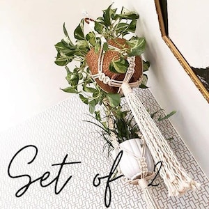 May include: Set of two macrame plant hangers with white cotton cord and wooden beads. The hangers are holding two potted plants with green leaves.