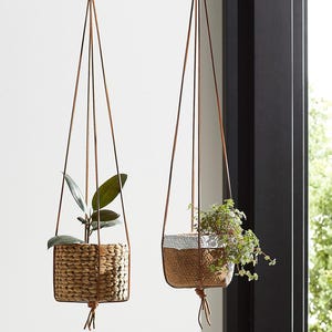 May include: Two hanging woven plant baskets with leather straps and brass rings. One basket holds a plant with large green leaves, the other has a small green plant. The baskets are suspended in front of a window.