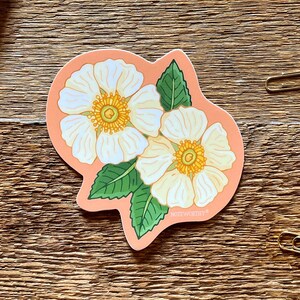 Cherokee Rose-sticker, bloemsticker, enkele gestanste vinylsticker