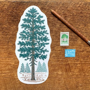 Carte postale de pin, carte postale de nature, carte postale découpée en typographie