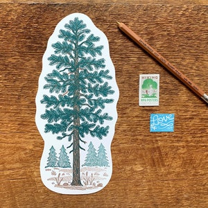 Pine Tree Postcard, Nature Postcard, Die Cut Letterpress Postcard image 1