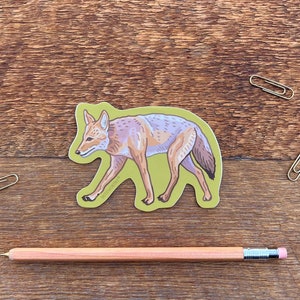 Coyotesticker, sticker dieren in het wild, buitensticker, enkele gestanste vinylsticker