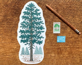 Pine Tree Postcard, Nature Postcard, Die Cut Letterpress Postcard