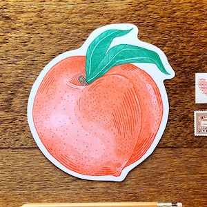Peach Postcard, You're A Peach, Die Cut Letterpress Postcard image 1