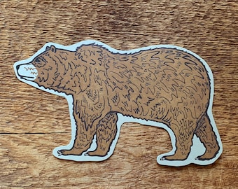 Grizzly Bear Postcard, Bear Postcard, Die Cut Letterpress Postcard