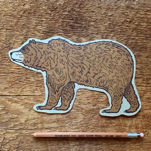 Grizzly Bear Postcard, Bear Postcard, Die Cut Letterpress Postcard image 1