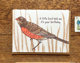 Little Bird Birthday, American Robin Card, Letterpress Birthday Card, Letterpress Folded Card, Blank Inside