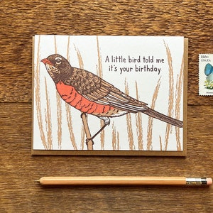 Biglietto di compleanno per uccellino, biglietto di compleanno con pettirosso americano, biglietto di compleanno con stampa tipografica, biglietto piegato con stampa tipografica, interno vuoto