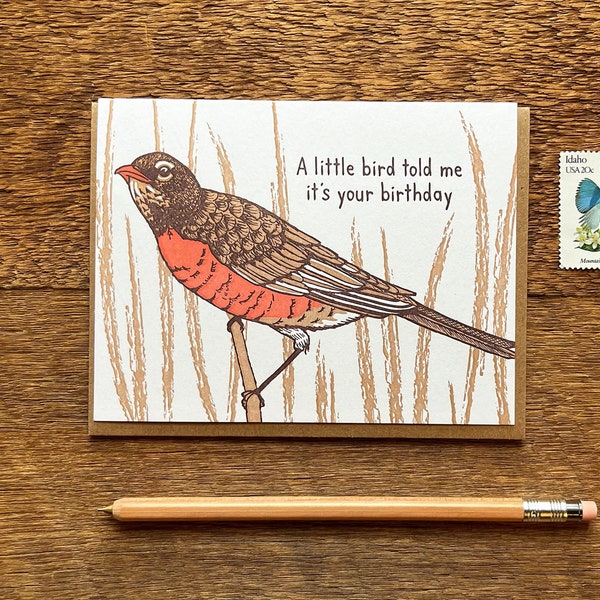 Little Bird Birthday, American Robin Card, Letterpress Birthday Card, Letterpress Folded Card, Blank Inside