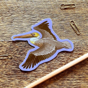 Brown Pelican Sticker, Wildlife Sticker, Outdoor Sticker, Single Die Cut Vinyl Sticker image 1