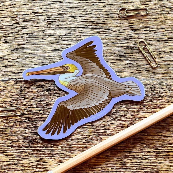Brown Pelican Sticker, Wildlife Sticker, Outdoor Sticker, Single Die Cut Vinyl Sticker