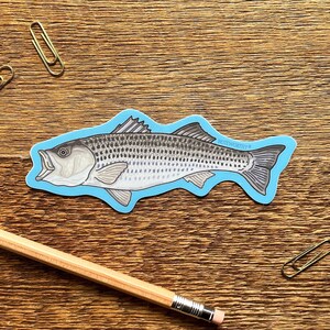 Sticker gestreepte bas, enkele gestanste vinylsticker