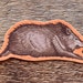see more listings in the AUTOCOLLANTS section