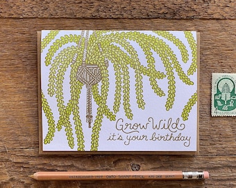 Grow Wild, Birthday Plant, Birthday Fern, Birthday Card, Single Letterpress Folded Card, Blank Inside