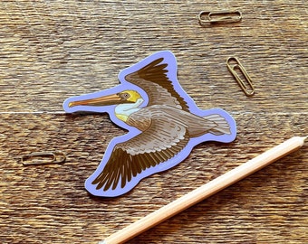 Brown Pelican Sticker, Wildlife Sticker, Outdoor Sticker, Single Die Cut Vinyl Sticker