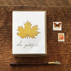 So Grateful, Maple Leaf, Coffret de 6 Cartes de remerciement Letterpress