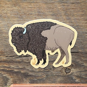 Bizon sticker, Buffalo sticker, enkele gestanst vinyl sticker