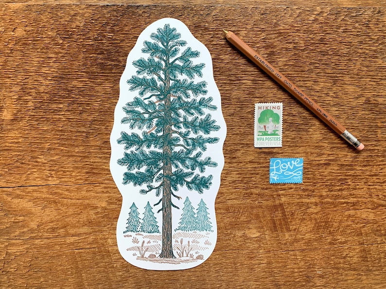 Pine Tree Postcard, Nature Postcard, Die Cut Letterpress Postcard image 1