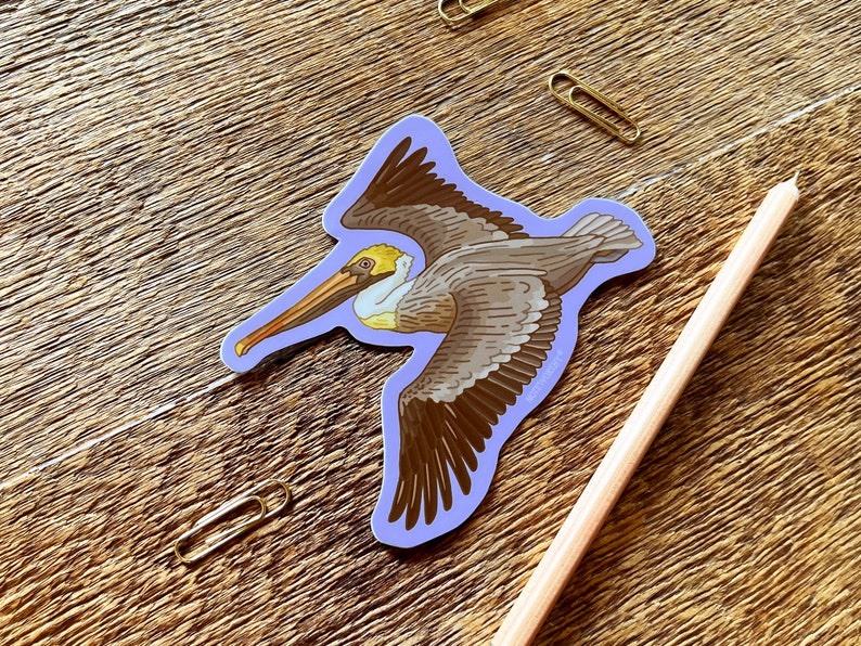 Brown Pelican Sticker, Wildlife Sticker, Outdoor Sticker, Single Die Cut Vinyl Sticker image 3