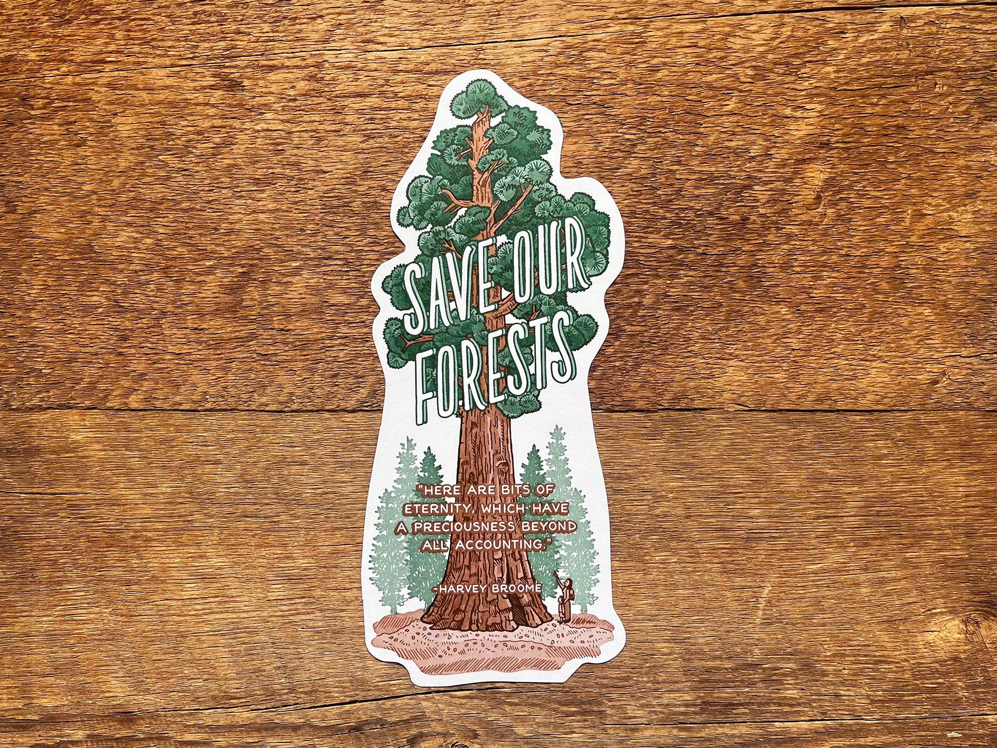 Save Our Forests, Sequoia Tree Postcard, Forest Conservation 