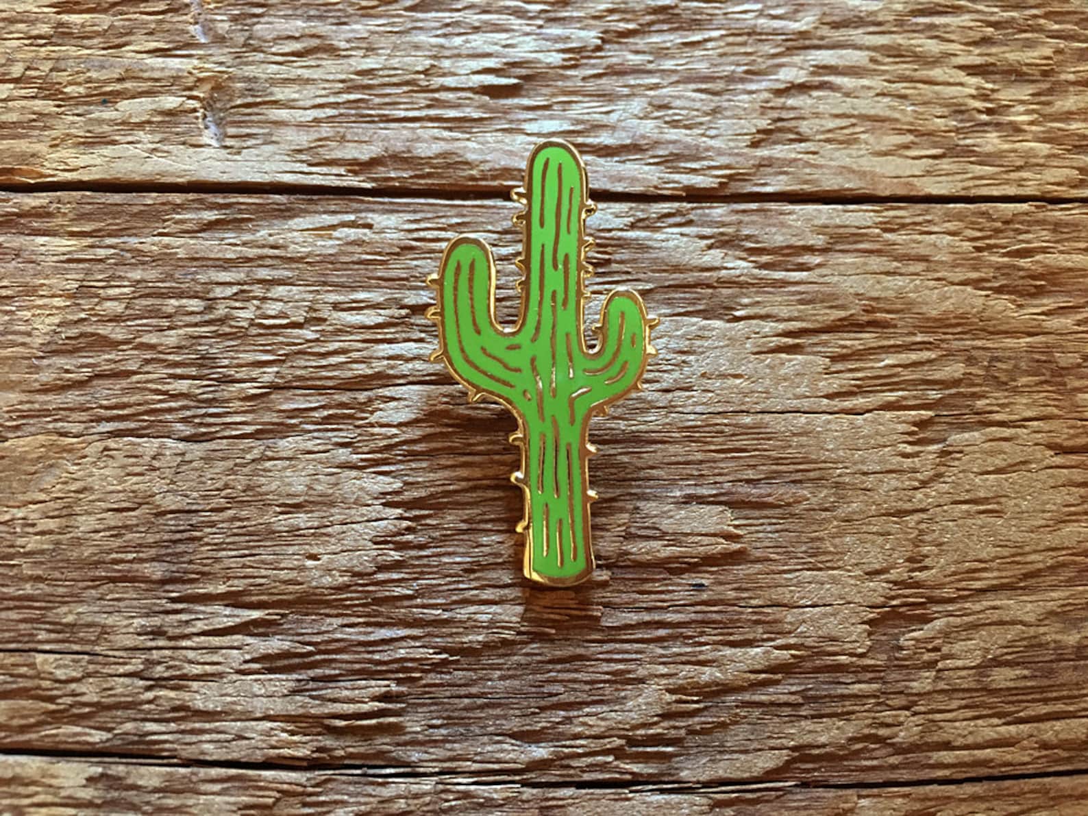 Cactus Enamel Pin, Desert Enamel Pin, Single Hard Enamel Pin With ...