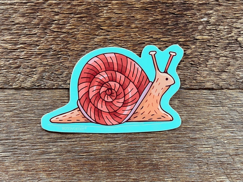 Snail Sticker, Forest Sticker, Bug Sticker, Single Die Cut Vinyl Sticker image 1