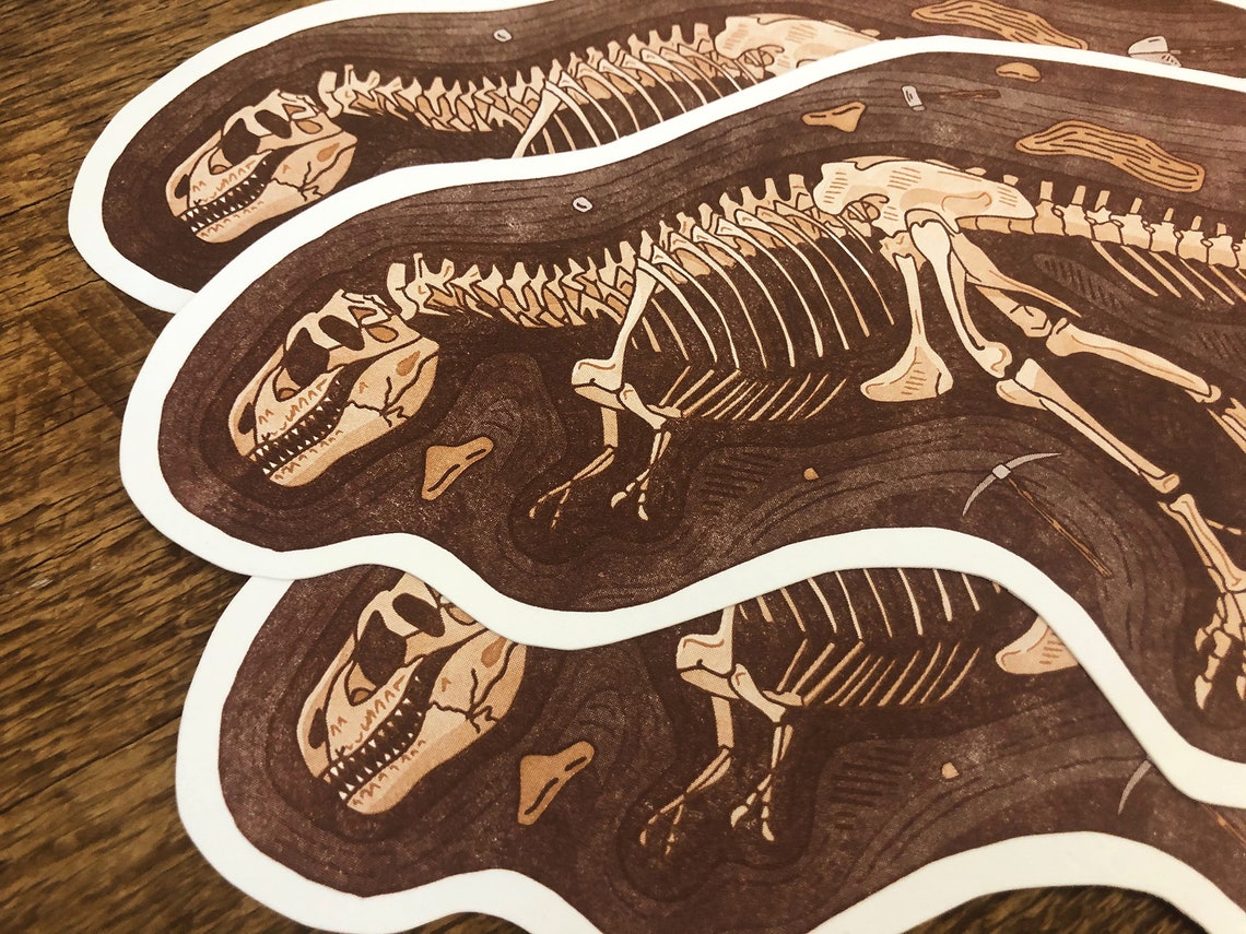 Rex Postcards Dinosaur Fossil Postcard, Tyrannosaurus Rex Postcard, Die Cut ...