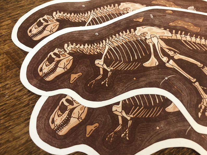 Peut inclure: Trois autocollants blancs sur fond brun repr&eacute;sentant une illustration de squelette de dinosaure. Le dinosaure est repr&eacute;sent&eacute; de profil, la t&ecirc;te tourn&eacute;e vers la gauche. Le squelette est d&eacute;taill&eacute; et complexe, avec des c&ocirc;tes, des vert&egrave;bres et des membres visibles. L'arri&egrave;re-plan est brun fonc&eacute;, ressemblant &agrave; de la terre ou de la roche, avec une texture subtile.