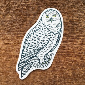 Snowy Owl Postcard, Owl Postcard, Die Cut Letterpress Postcard image 4