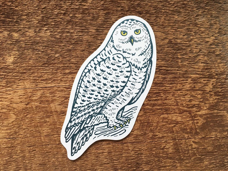 Snowy Owl Postcard, Owl Postcard, Die Cut Letterpress Postcard image 4