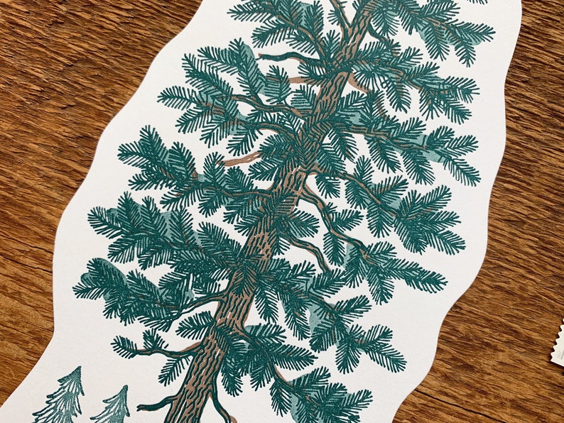 Pine Tree Postcard, Nature Postcard, Die Cut Letterpress Postcard image 5