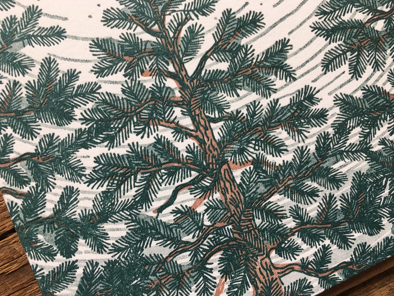 Może przedstawiać: Zbliżenie na ilustrację zielonego i brązowego drzewa sosnowego na białym tle. Gałęzie drzewa są szczeg&oacute;łowe i skomplikowane, tworząc naturalny i organiczny wz&oacute;r.