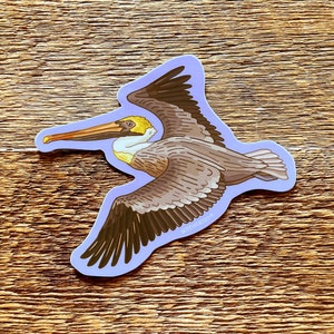 Brown Pelican Sticker, Wildlife Sticker, Outdoor Sticker, Single Die Cut Vinyl Sticker image 2