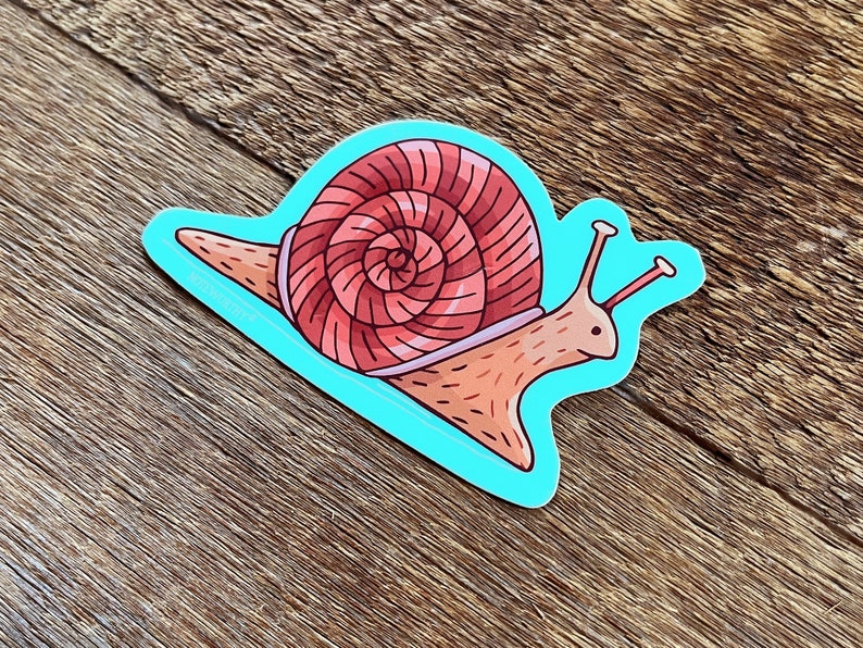 Snail Sticker, Forest Sticker, Bug Sticker, Single Die Cut Vinyl Sticker image 3