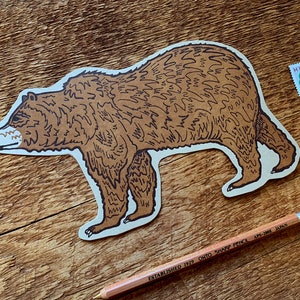 Grizzly Bear Postcard, Bear Postcard, Die Cut Letterpress Postcard image 4