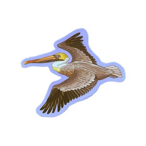 Brown Pelican Sticker, Wildlife Sticker, Outdoor Sticker, Single Die Cut Vinyl Sticker image 4