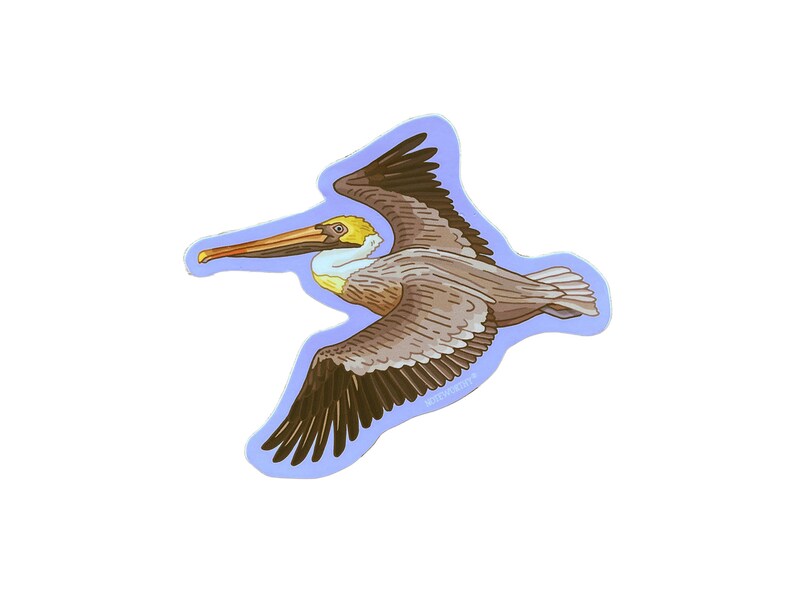 Brown Pelican Sticker, Wildlife Sticker, Outdoor Sticker, Single Die Cut Vinyl Sticker image 4