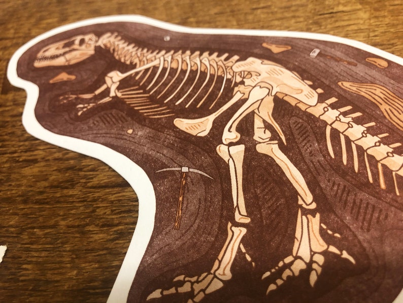 Peut inclure: Illustration d'un squelette de dinosaure fossile brun et blanc sur fond blanc. Le dinosaure est couch&eacute; sur le c&ocirc;t&eacute;, la t&ecirc;te tourn&eacute;e vers la gauche. L'illustration est d&eacute;taill&eacute;e et r&eacute;aliste.