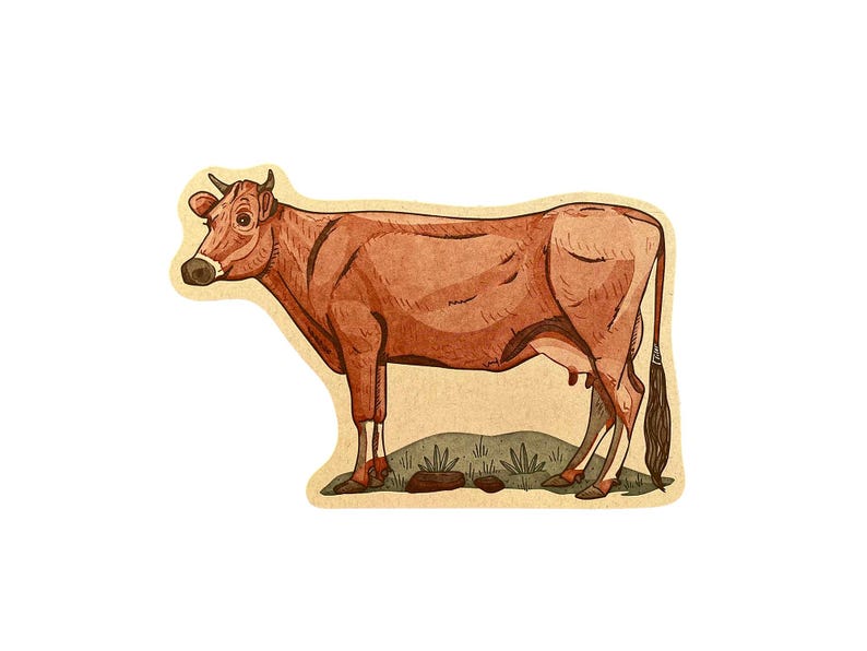 Jersey Cow Postcard, Cow Postcard, Die Cut Letterpress Postcard - Etsy