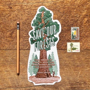 Sauvons nos forêts, carte postale Sequoia Tree, conservation des forêts, parc national de Sequoia, parcs de Californie, carte postale typographique découpée à l'unité