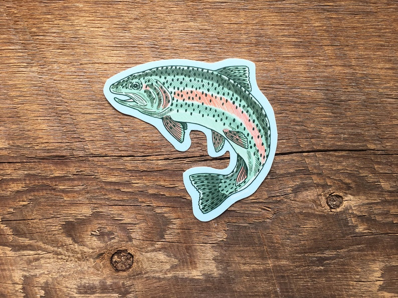 Trout Sticker Rainbow Trout Sticker Single Die Cut Vinyl Etsy