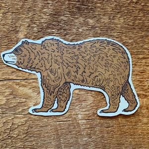 Grizzly Bear Postcard, Bear Postcard, Die Cut Letterpress Postcard image 3