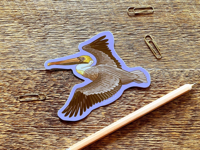 Brown Pelican Sticker, Wildlife Sticker, Outdoor Sticker, Single Die Cut Vinyl Sticker image 1