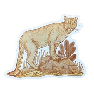 Carte postale de lion de montagne, carte postale de nouveauté, carte postale de lettre de coupure de die image 8
