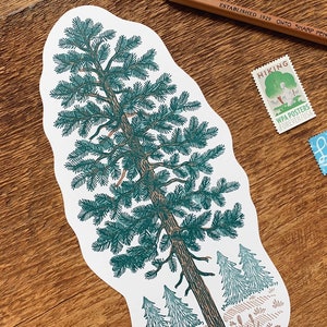 Pine Tree Postcard, Nature Postcard, Die Cut Letterpress Postcard image 3